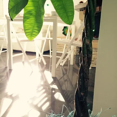 Bed & Breakfast Excellent Apartment In The Center Of Milan 3*